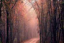 天涯神贴真实身份：孤勇者的隐身极客与烟火人间的日常对位