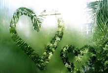 天涯神贴网盘：江湖人的秘密战场