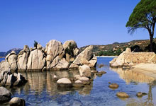 天涯神贴网盘：江湖人的秘密战场